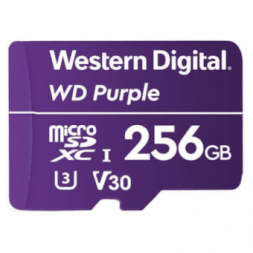 Карта памяти Western Digital WDD256G1P0A объемом 256 Гбайт